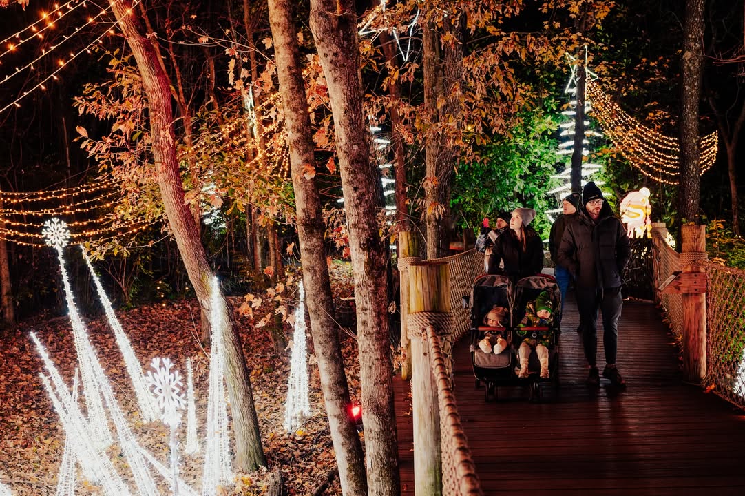 Nashville Zoo's Glow Wild holiday light show (November 13, 2026