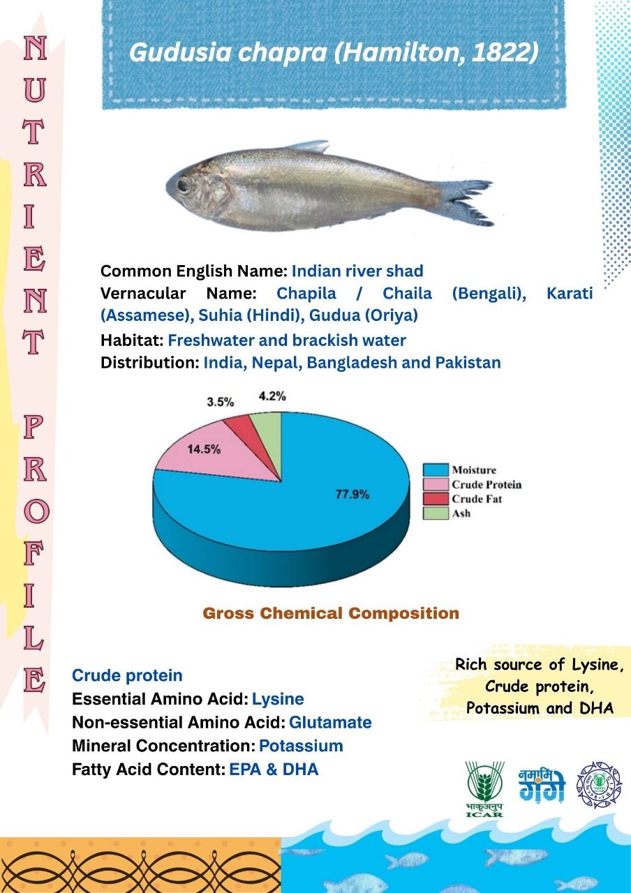 Nutrient... - Central Inland Fisheries Research Institute | Facebook