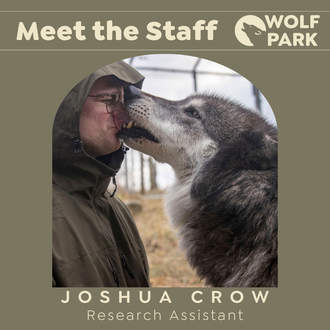 Wolf - Meet the Staff: Joshua Crow🐺 Joshua graduated from the ...