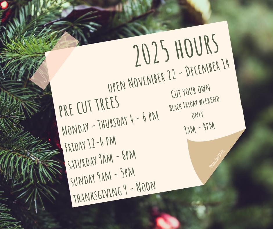CW Christmas Trees | Watertown WI