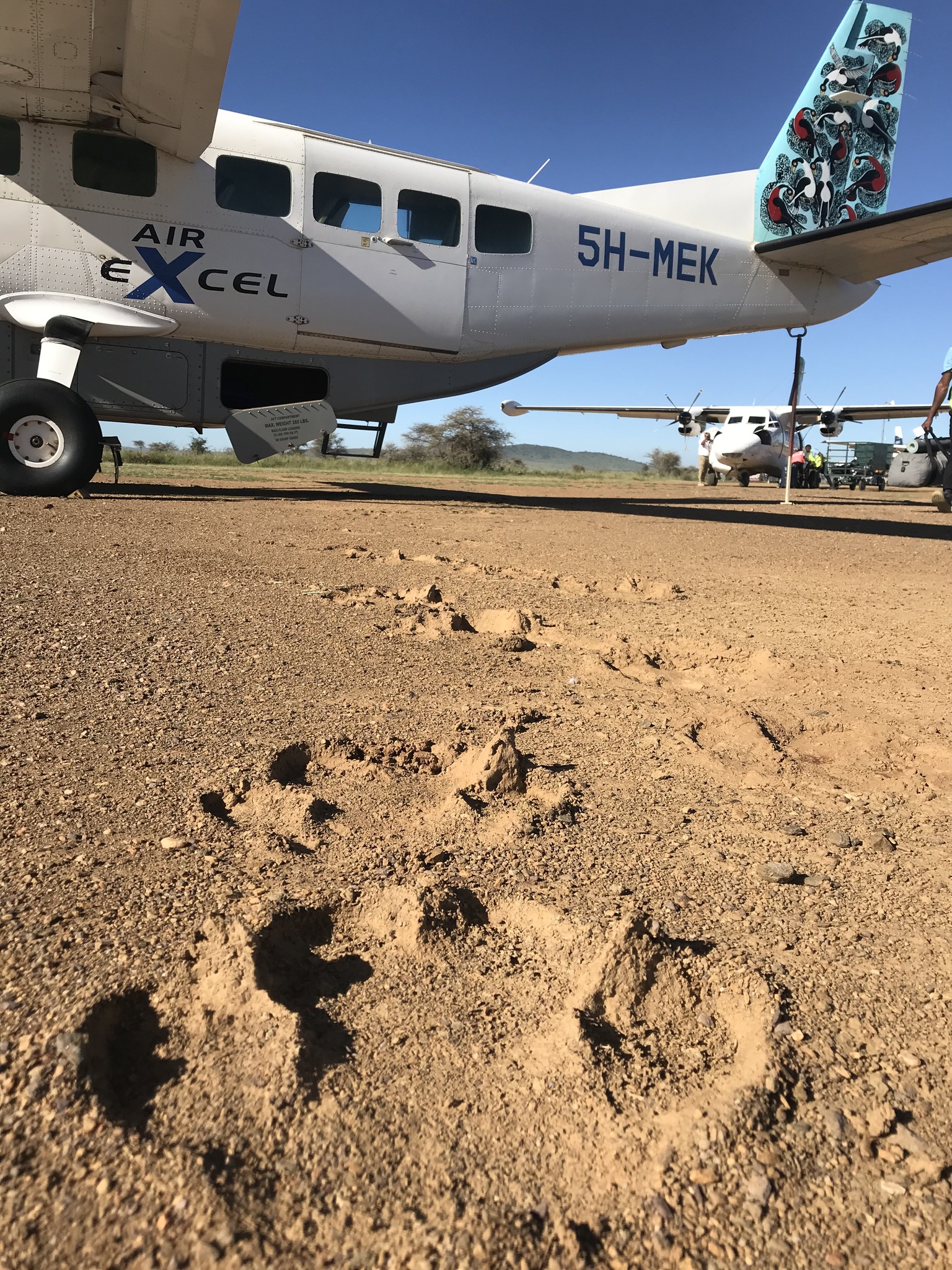 Air Excel - Last month, a hippo surprised us by walking...