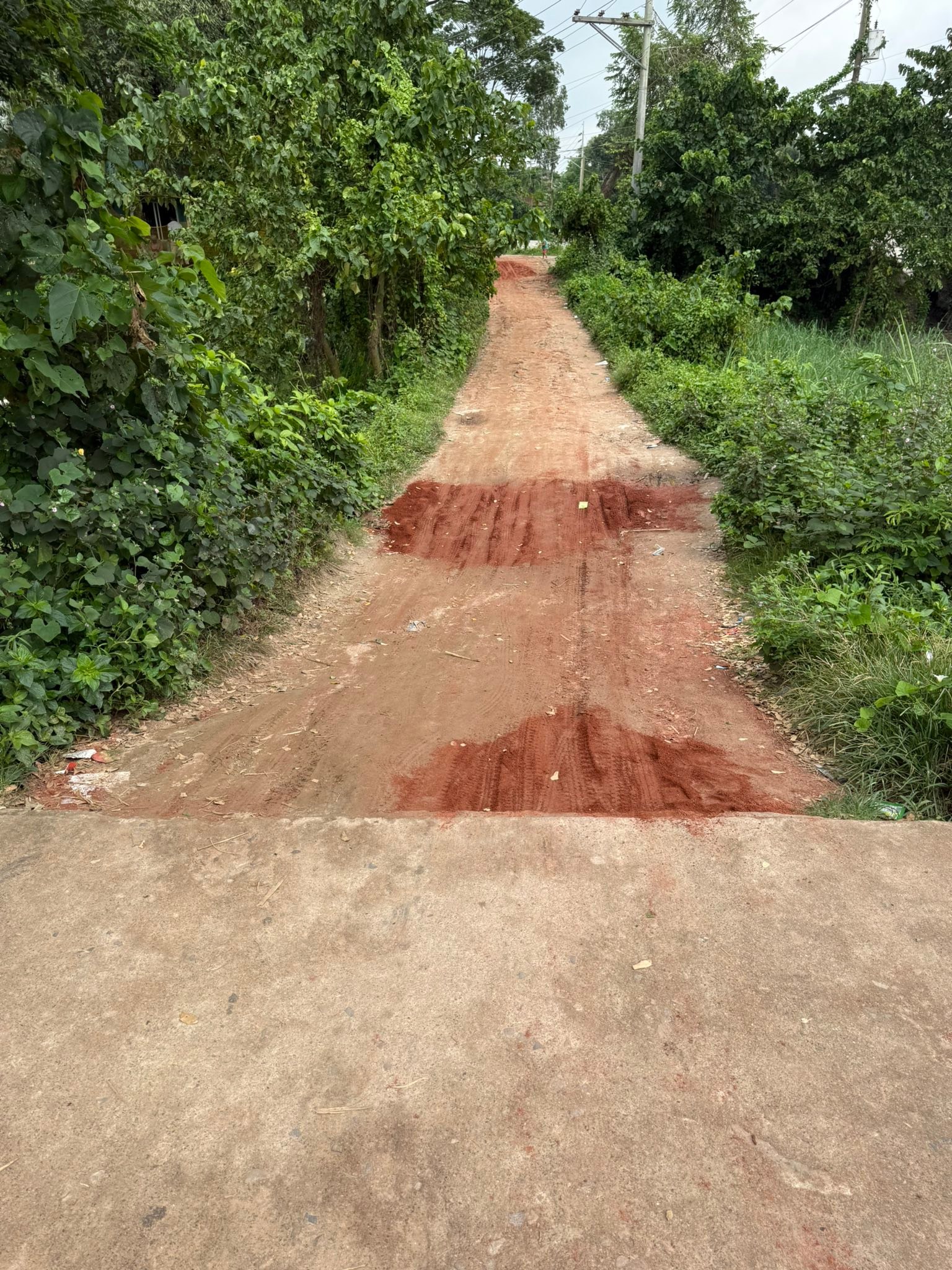 মোহাম্মদ সবুজ আহমেদ