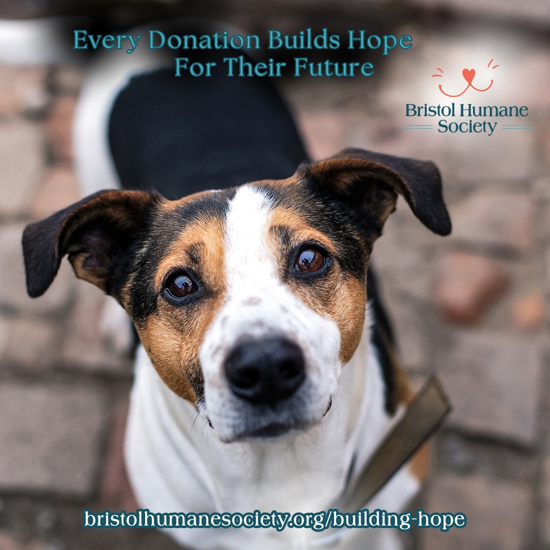 Bristol Humane Society | Bristol VA