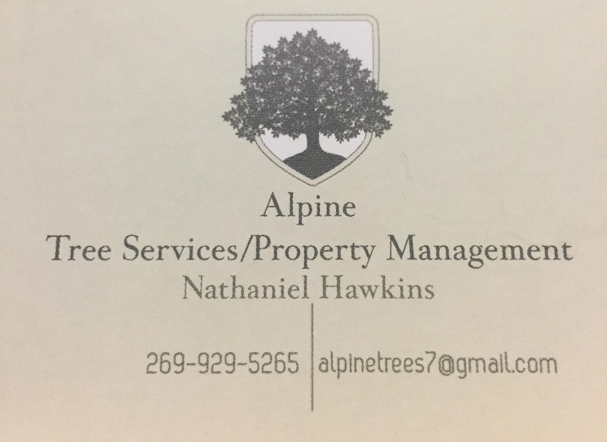 Alpine Tree Care And Property Management | Kalamazoo MI