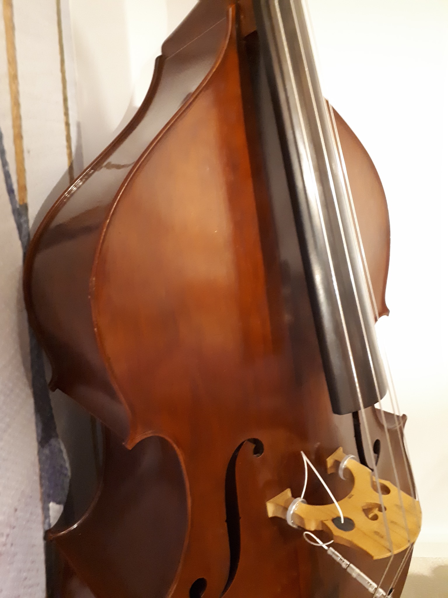Double Bass Lessons Tutor Derbyshire Matlock Chesterfield Alfreton