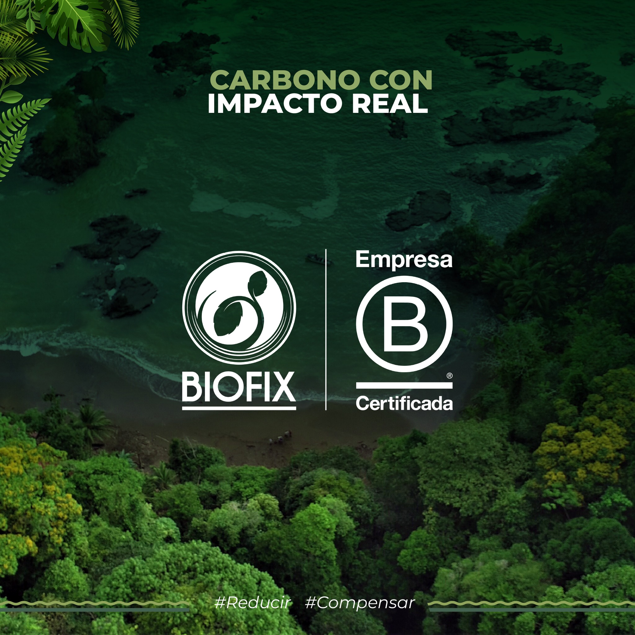 Biofix | Bogotá