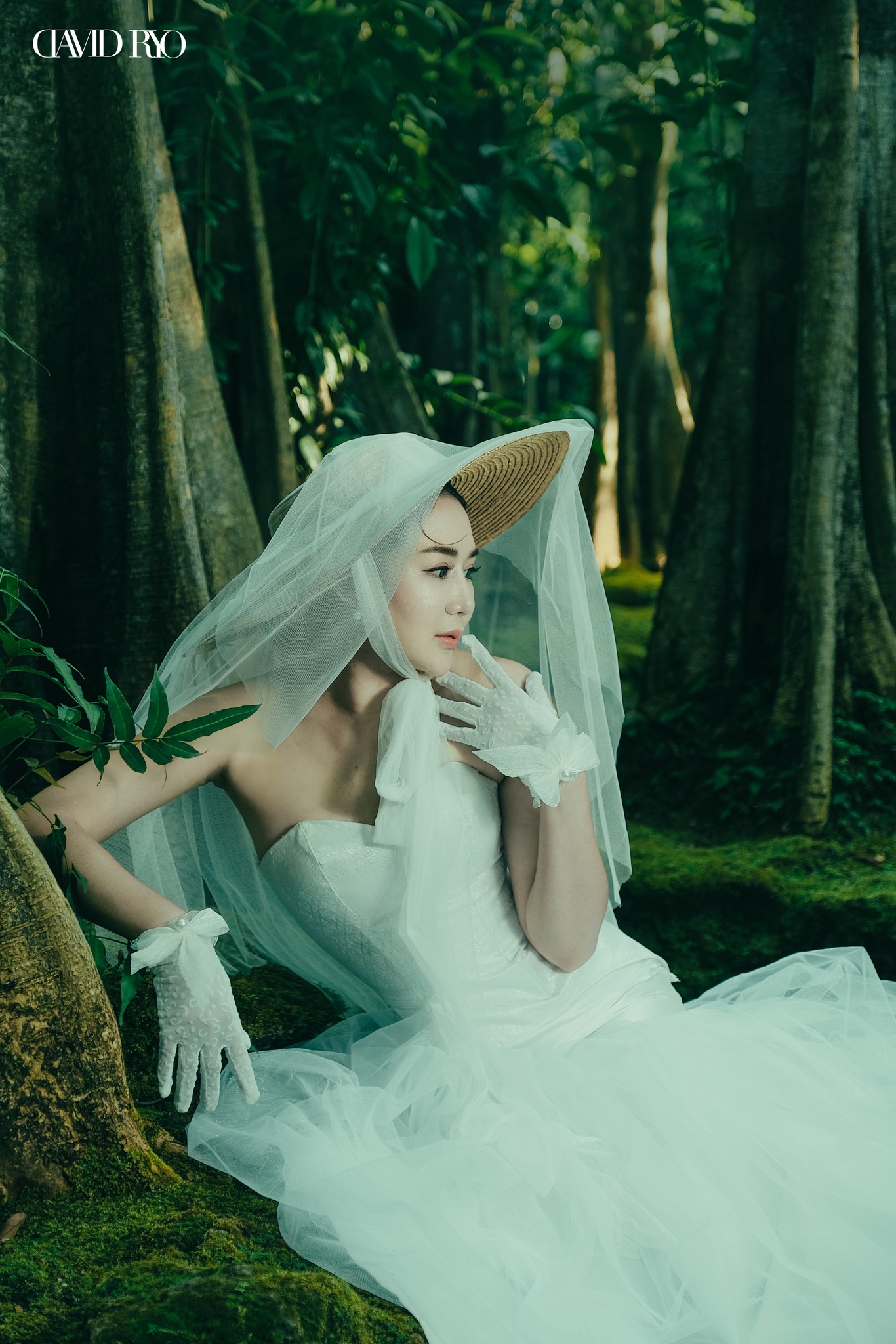 David Ryo - A mysterious forest photograph has been... | Facebook