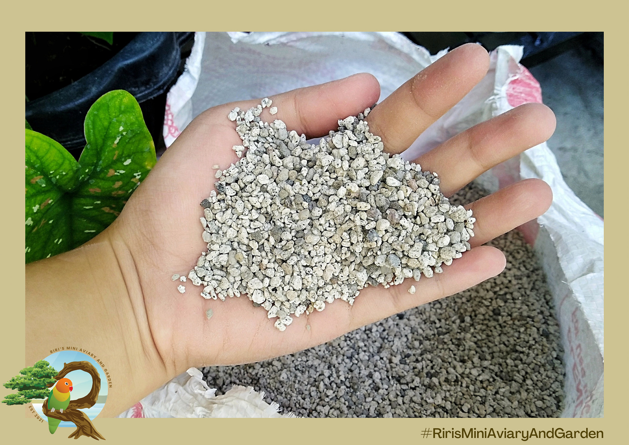 Riri's Mini Aviary And Garden | Tanza