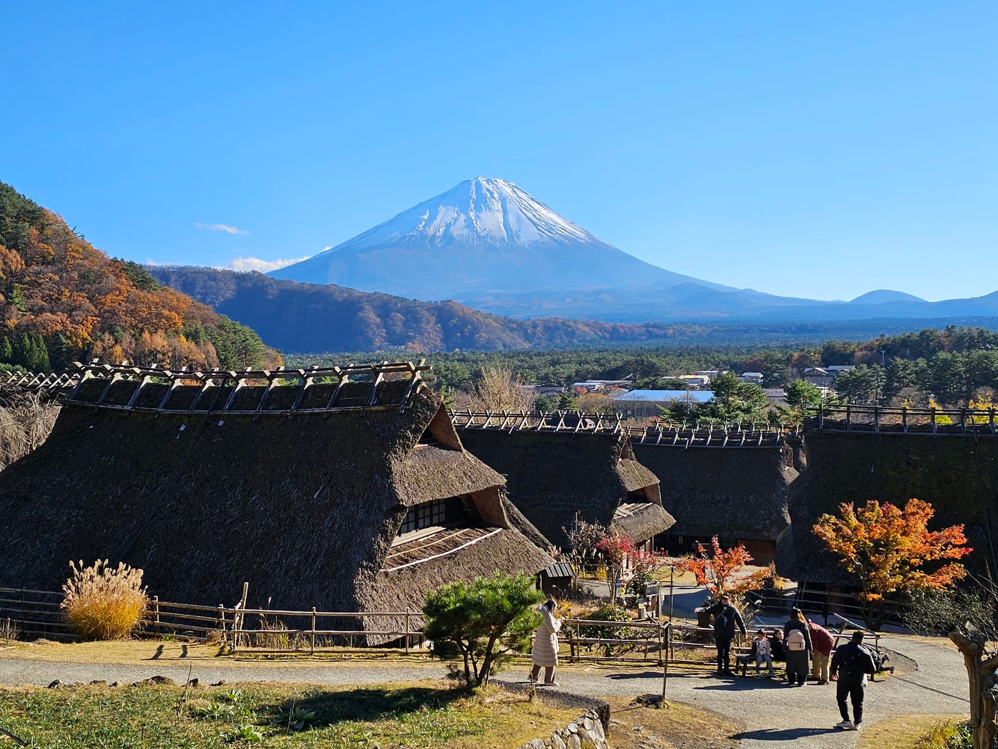 摩那卡與瓦拉比的日本玩樂手札 - 在河口湖住宿一到兩晚，就有充裕的時間到其他富士五湖走走。「西湖療癒之里根場」是一個在... | Facebook