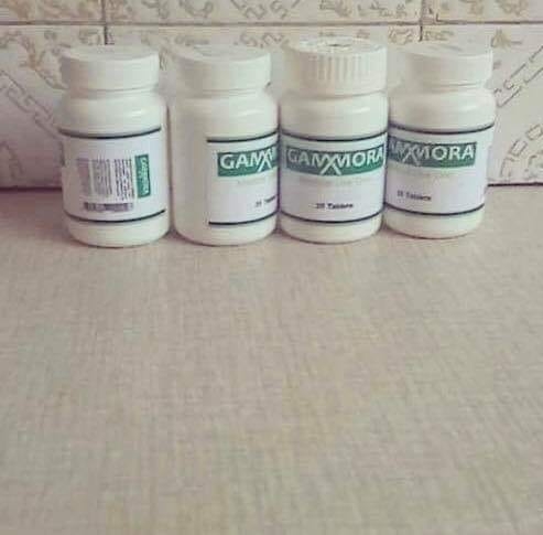 Zion Pharmaceuticals- Gammora HIV Cure