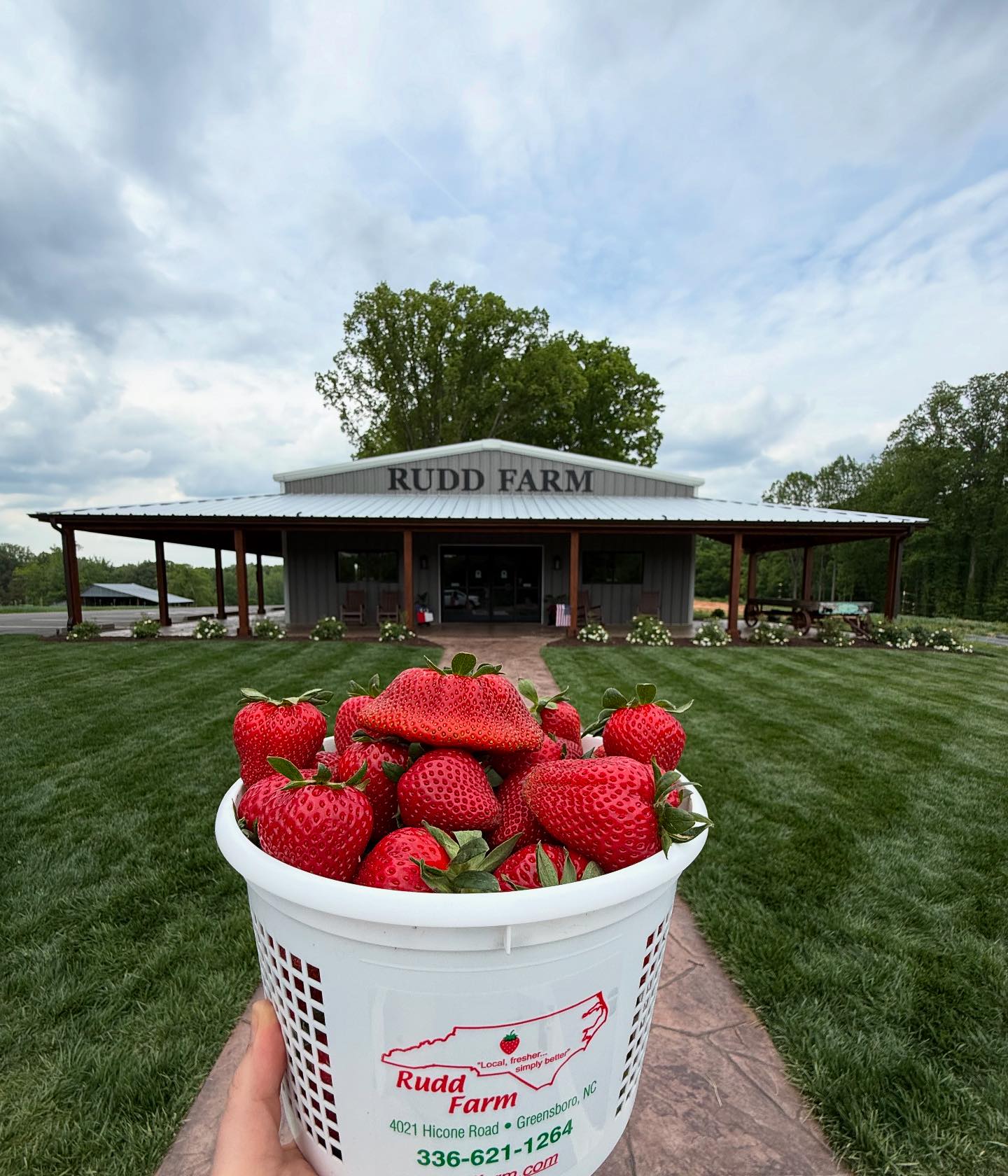 Rudd Farm | Greensboro NC