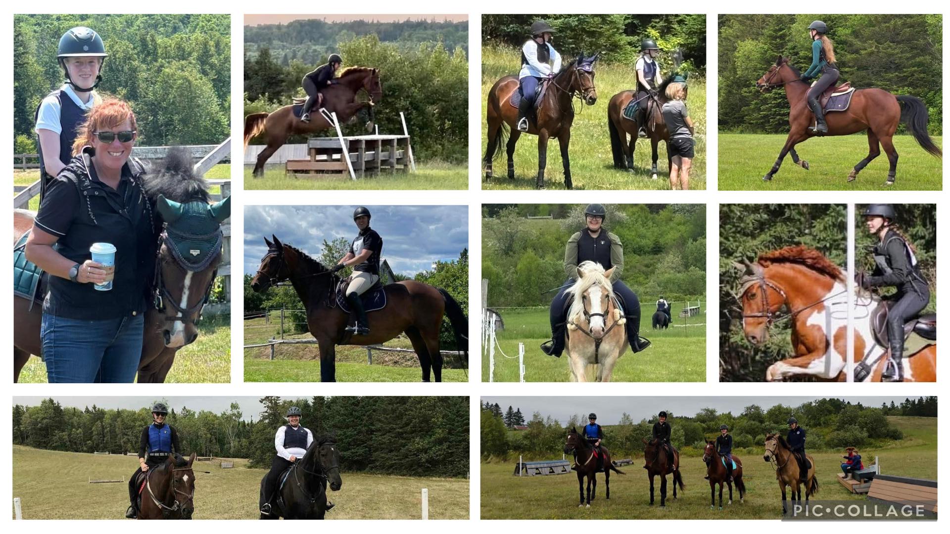 Elite Equestrian added a new photo. - Elite Equestrian