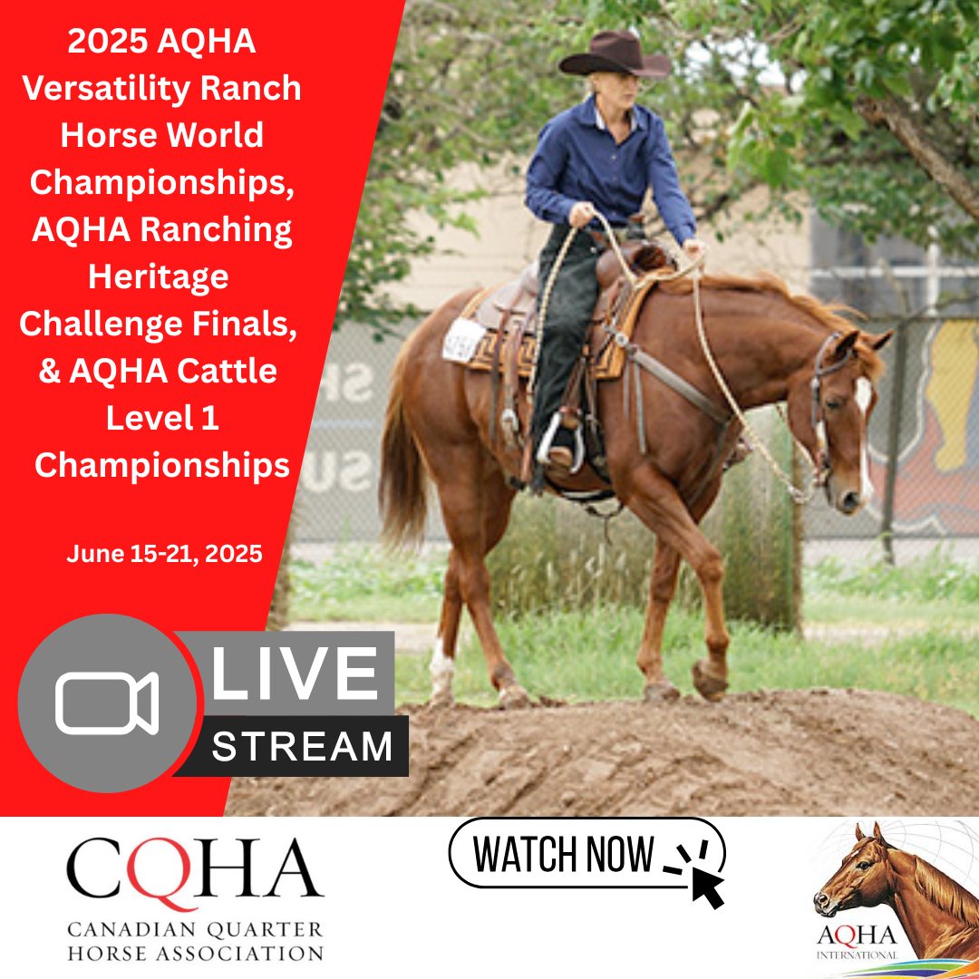 Canadian - The 2025 AQHA Versatility Ranch Horse World Championships ...