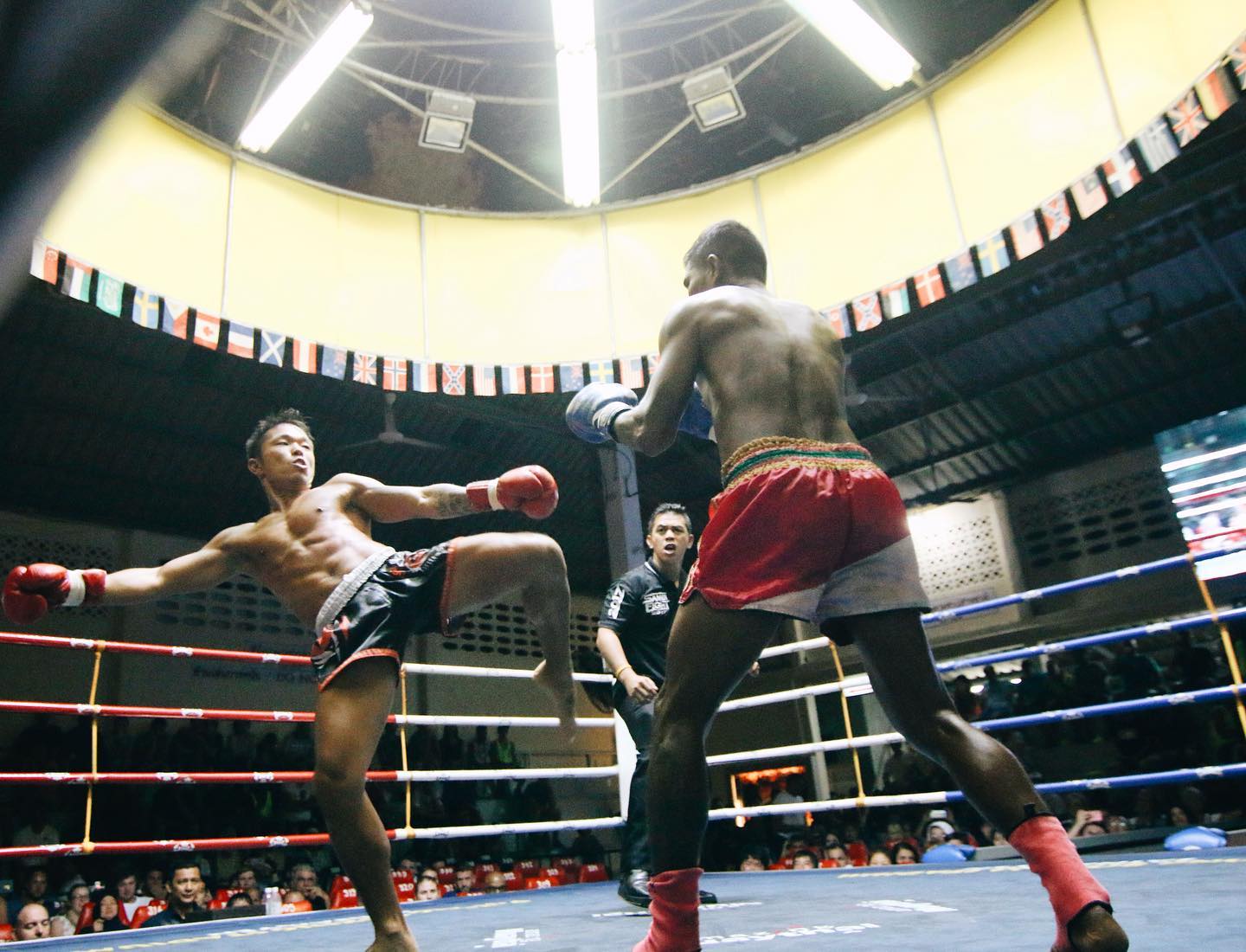 Brave Thai Box Club 好きな事を仕事にしませんか 格闘技未経験ok ジャンル問わずスポーツ経験は必須 野球 サッカー バスケなんでもok ご質問など Dmお待ちしてます キックボクシング Kickboxing フィットネス Boxing ボディメイク
