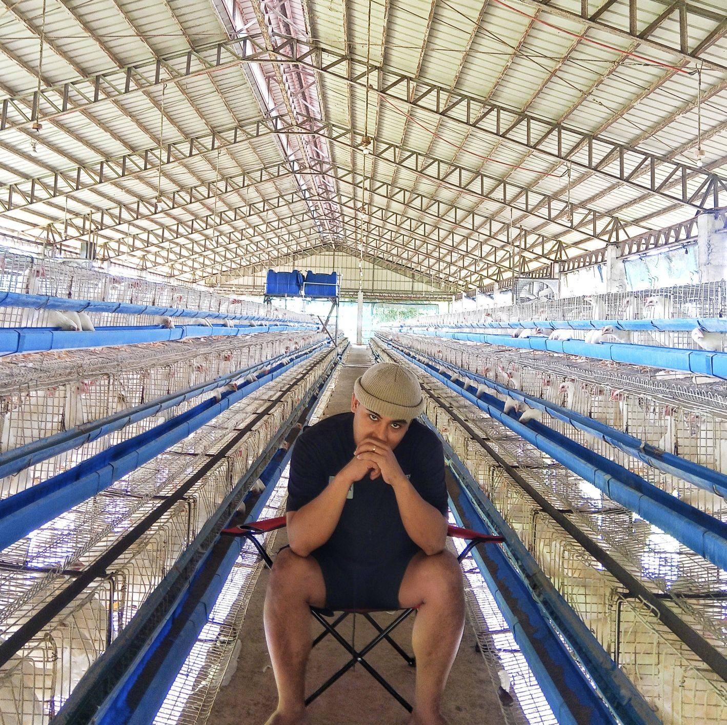 Another finish project at Balungao Integrated Farm. 5112 Capacity Layer ...