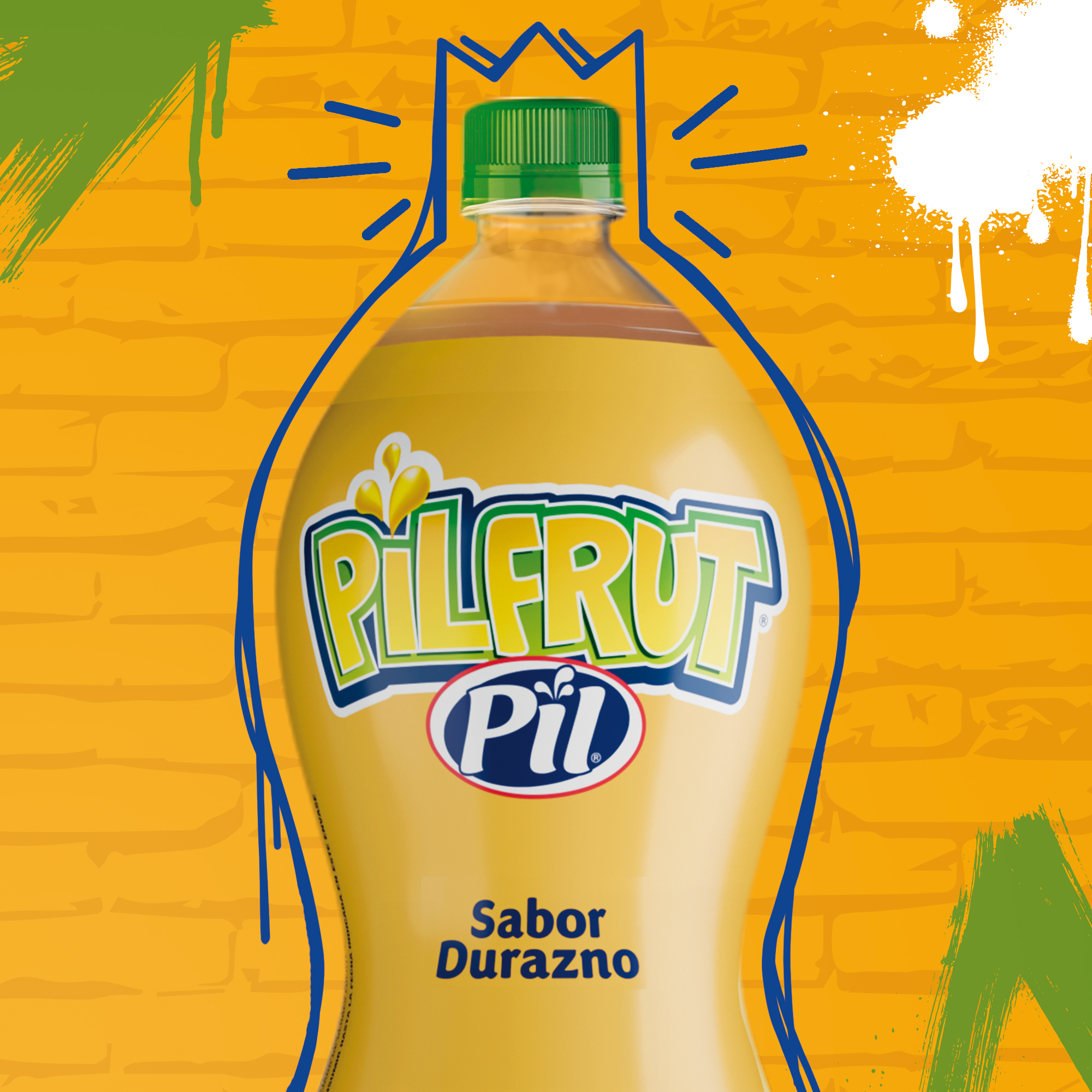Pil Andina