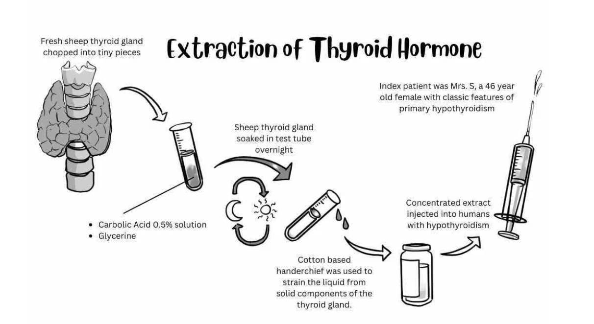 thyroxine and b12 injections Levothyroxine is currently one of seven NTI drugs recognized by the FDA most sensitive to heat, light and moisture which is why individually sealed packs can increase management success of #hypothyroidism B12 Deficiency and Multiple