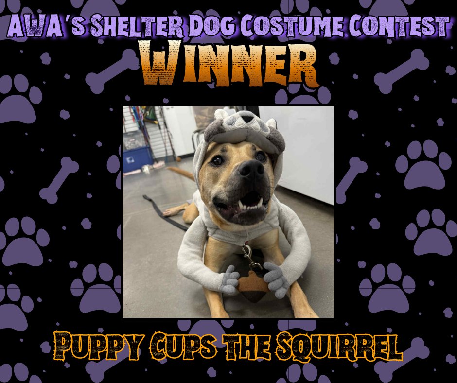 Happy Howl-O-Ween from AWA!... - Animal Welfare Association | Facebook