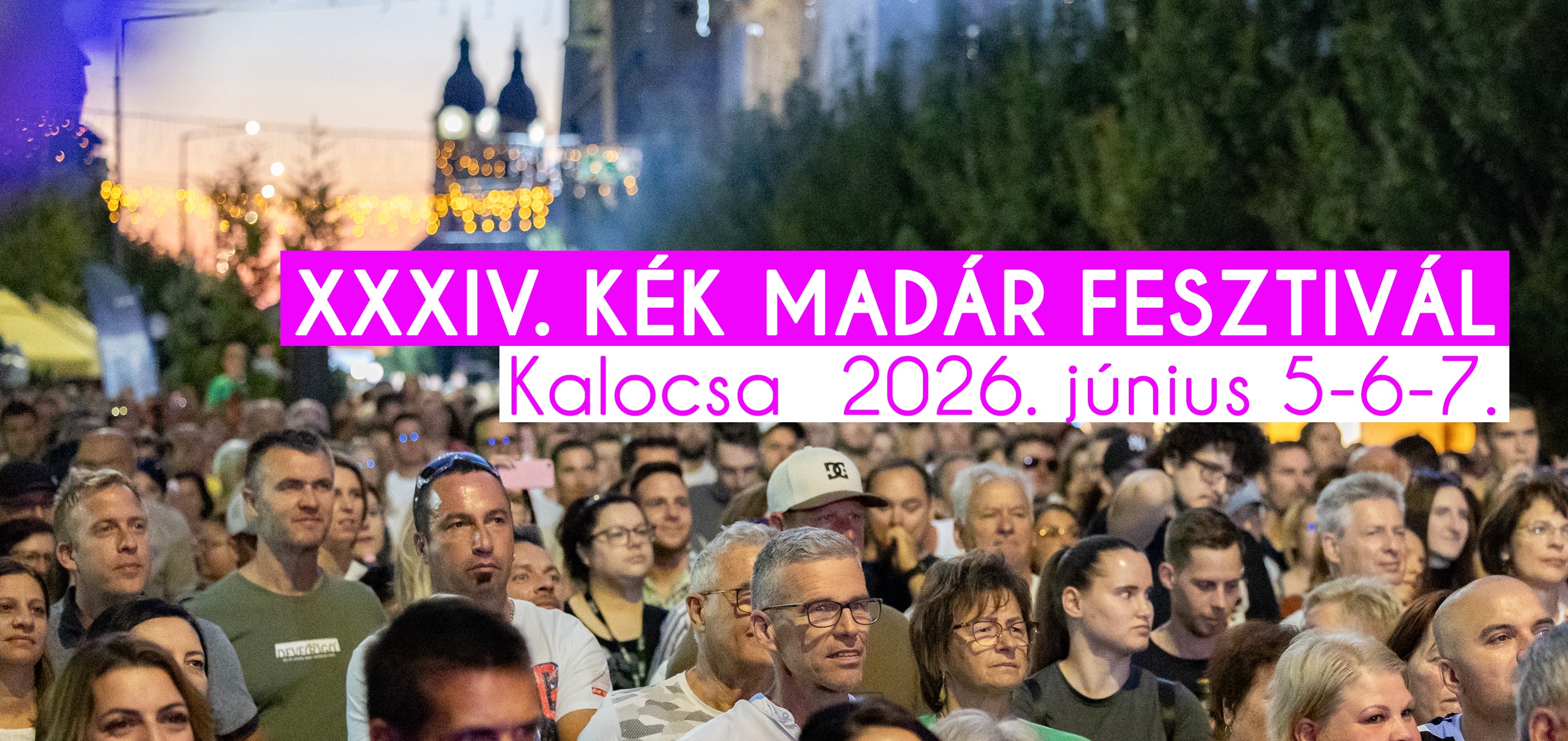Kalocsai Gerillakertészek... - Kalocsai Gerillakertészek