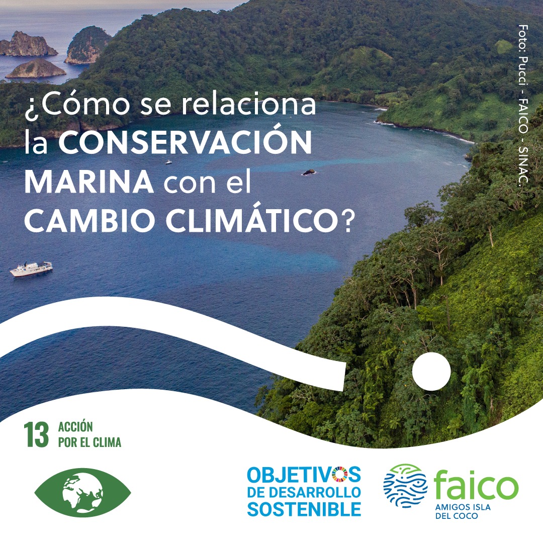 Amigos Isla del Coco - Poseer grandes tesoros naturales es una ...