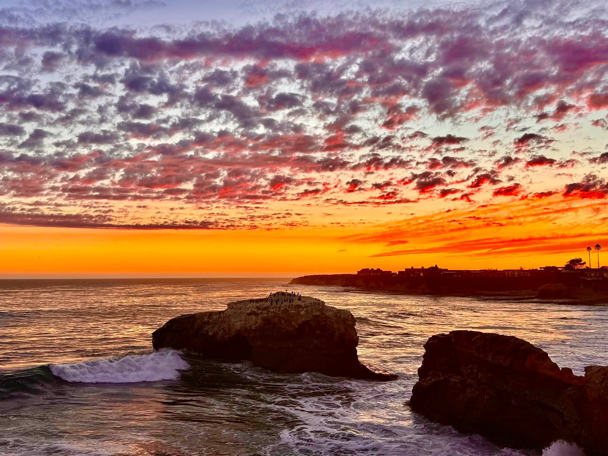 新品未開封 BRIESTA NUTS OUTDOOR Sunset beach Sunset from Natural Bridges State Beach 09/05/2026