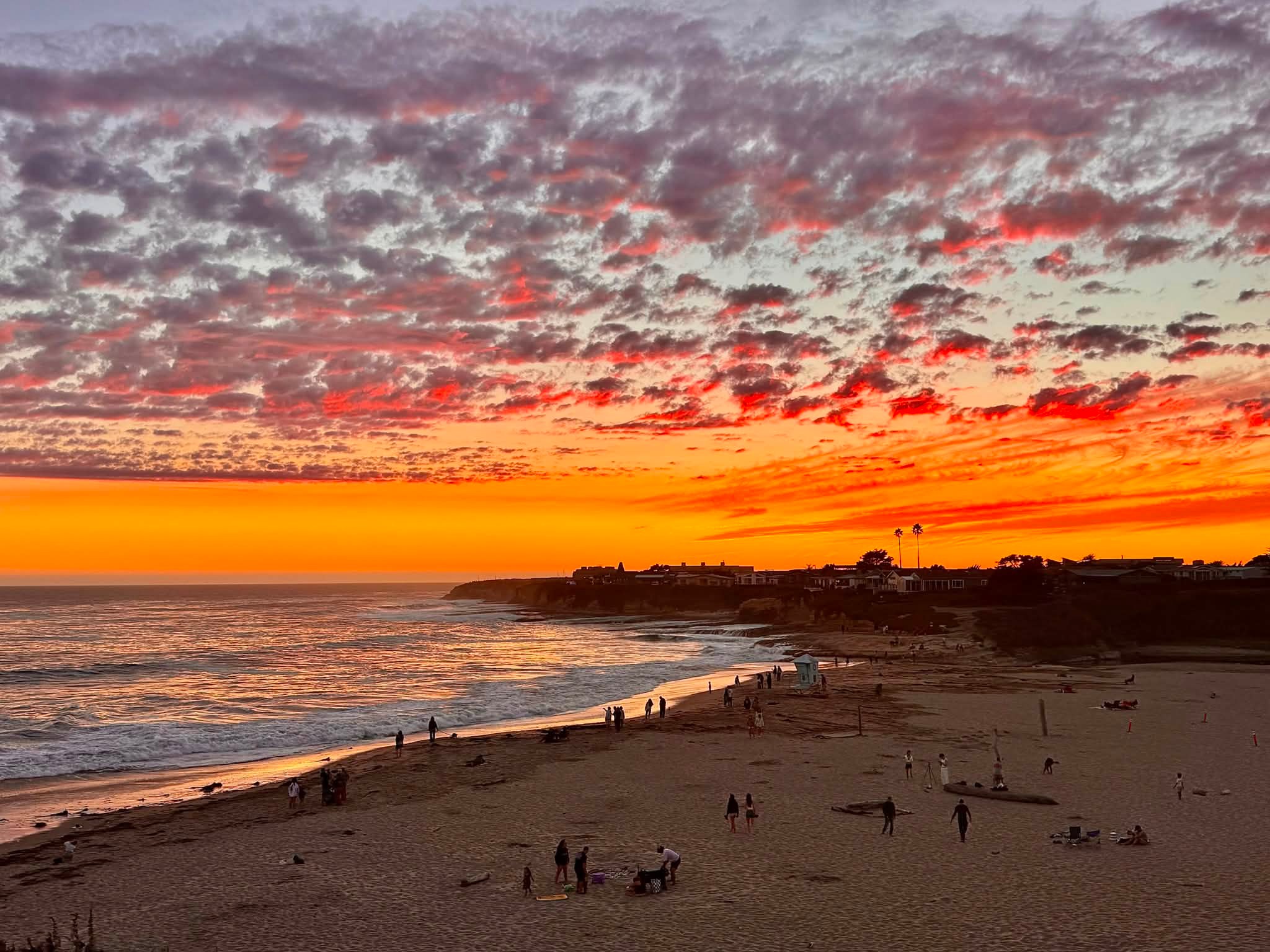 新品未開封 BRIESTA NUTS OUTDOOR Sunset beach Sunset from Natural Bridges State Beach 09/05/2026