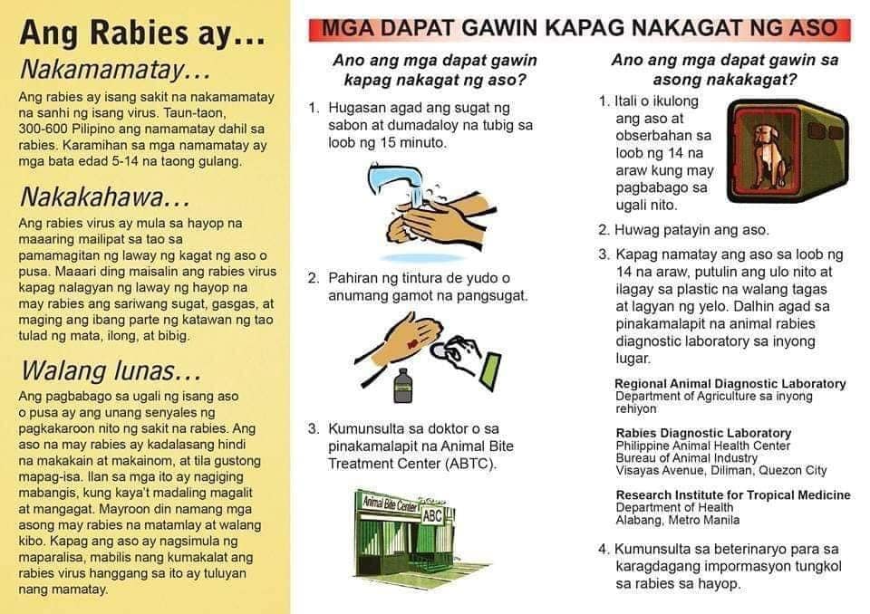 Ang RABIES ay 🐶🐱🐒🐴🐐🦇... - Quezon ABC Treatment Center | Facebook