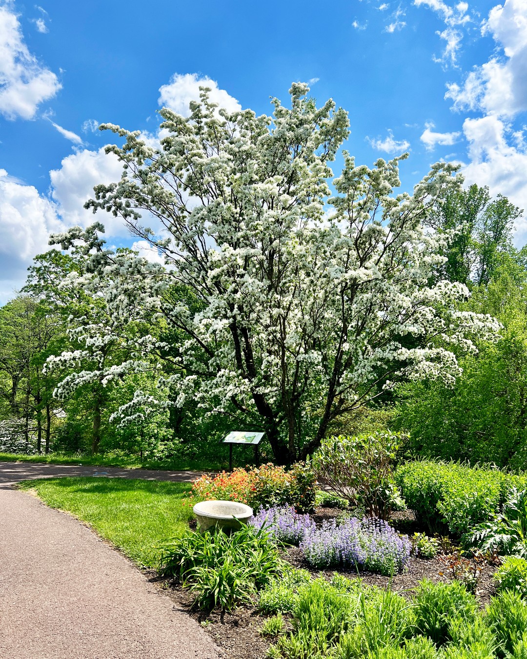 Morris Arboretum & Gardens of the University of Pennsylvania ...