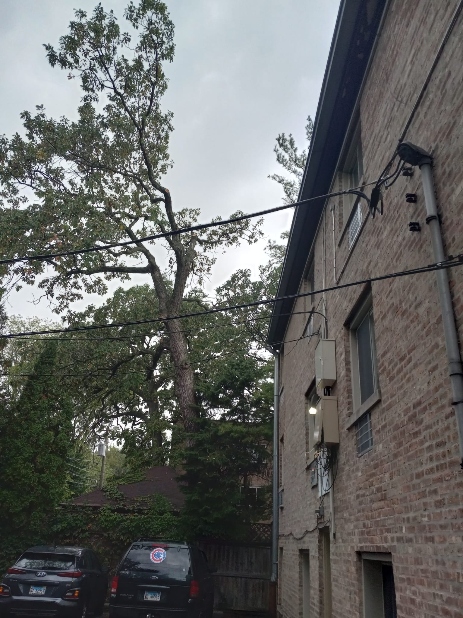 Chilo's Tree Service LLC
