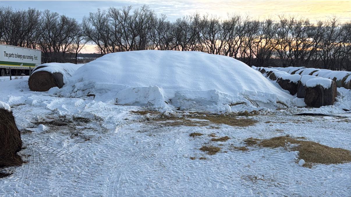 Mebs Ranch Ltd. | Broadview SK