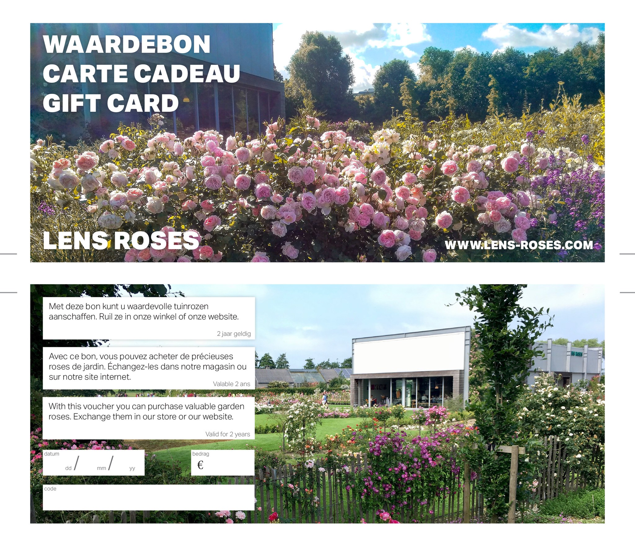 Lens Roses - 🎁 Geef een cadeau dat blijft bloeien! 🌹💳 Met een Lens ...