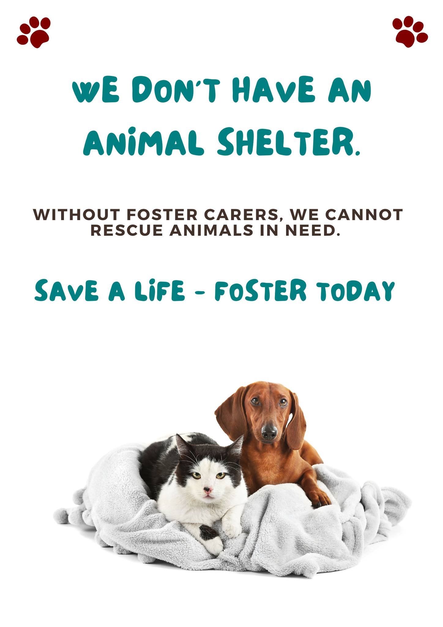 Bowen - 🐾We DESPERATELY need FOSTER CARERS 🐾 We don't have a physical ...