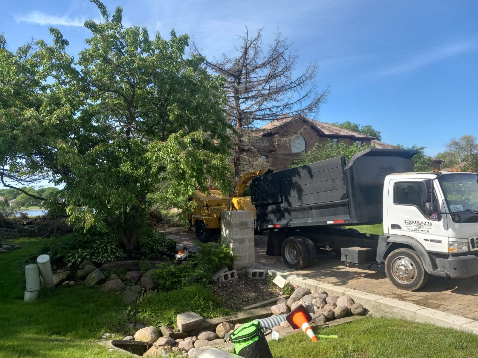 Chilo's Tree Service LLC