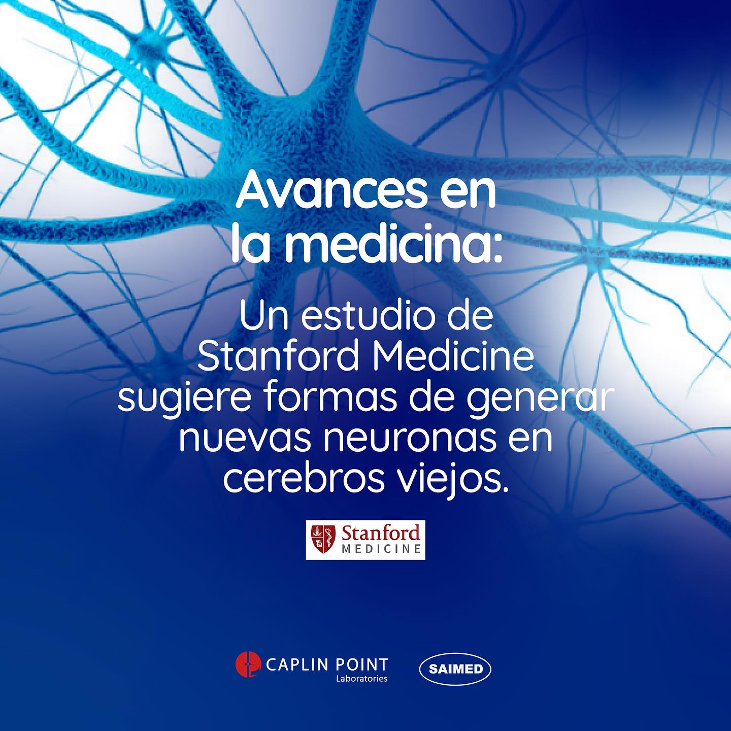 La mayoría de las neuronas del... - Drogueria Saimed SA de CV | Facebook