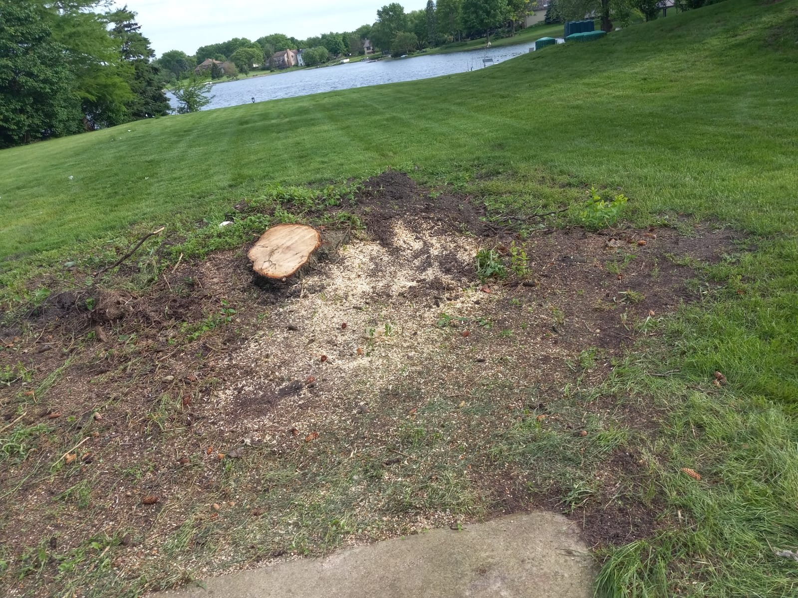 Chilo's Tree Service LLC