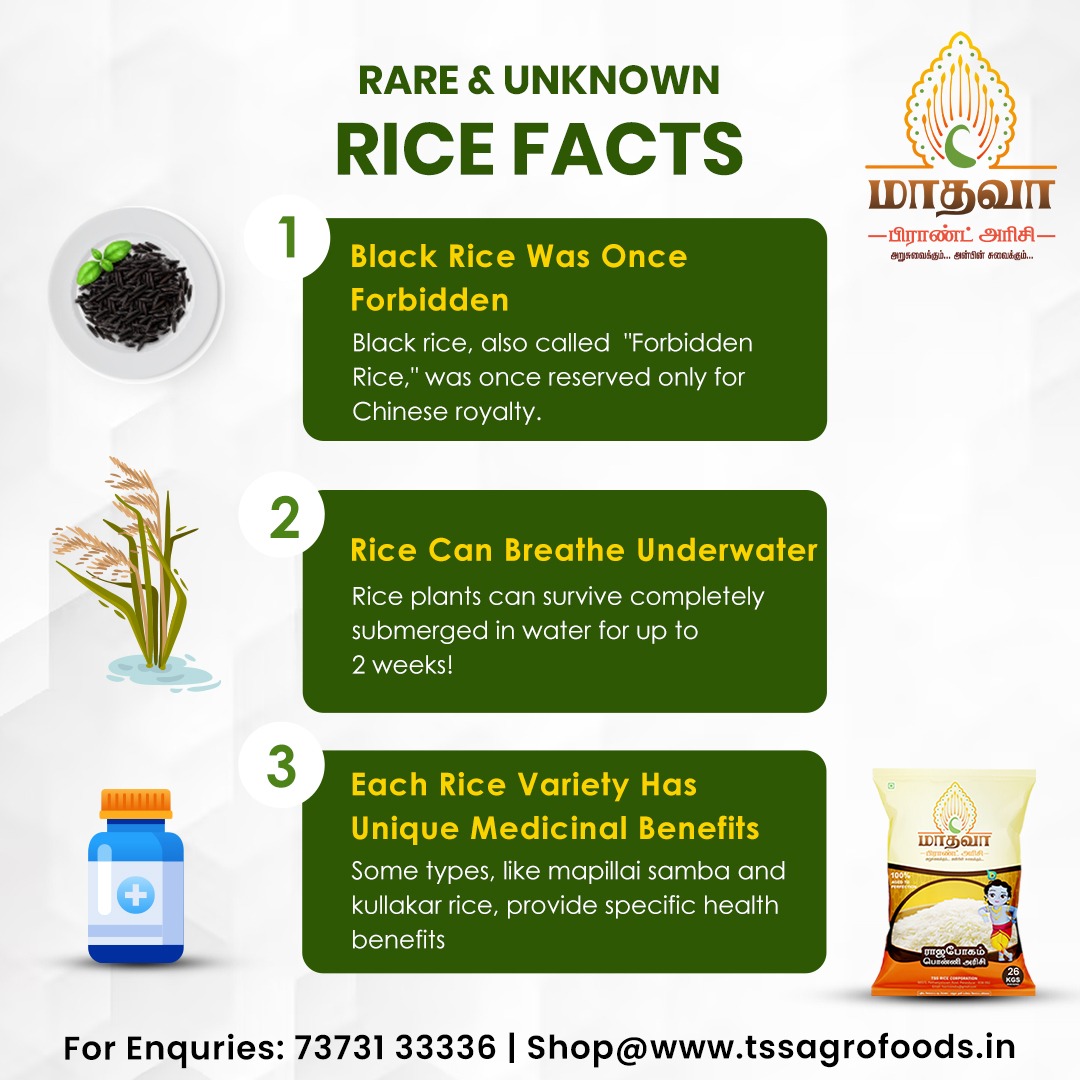 TSS - 🌾 RARE & UNKNOWN RICE FACTS 🌾 Did you know? 1️⃣ Black Rice was ...
