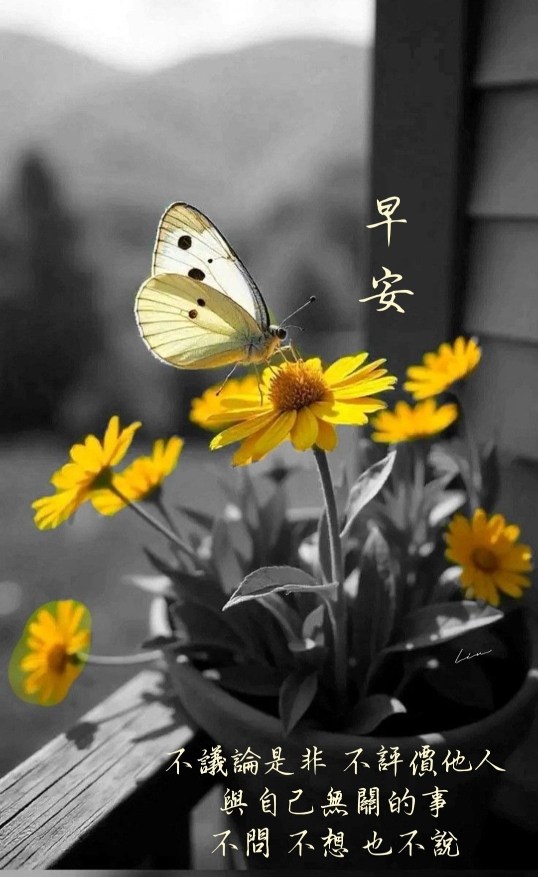 早安.晨安.日安分享 - 早安.晨安.日安分享 added a new photo.