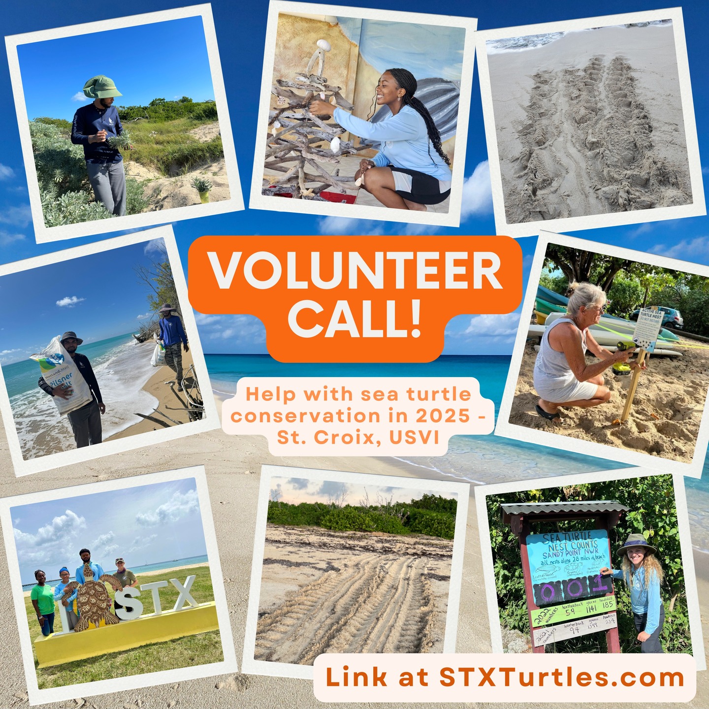 St. Croix Sea Turtle Project - Congratulations Katie! Yesterday ...
