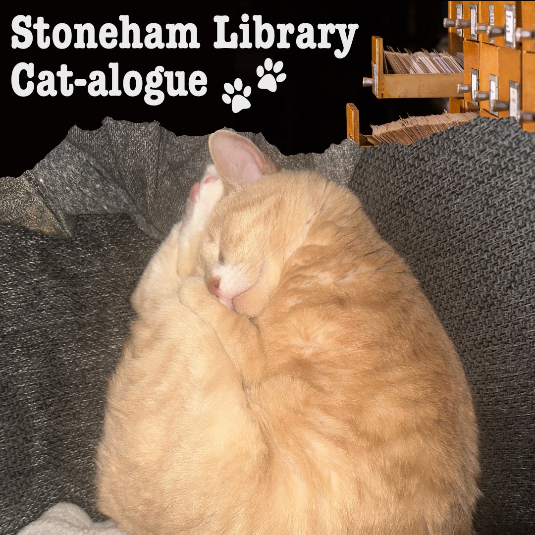 Stoneham - Welcome to the 🐈 Stoneham Library Cat-alogue 🐈, where you ...