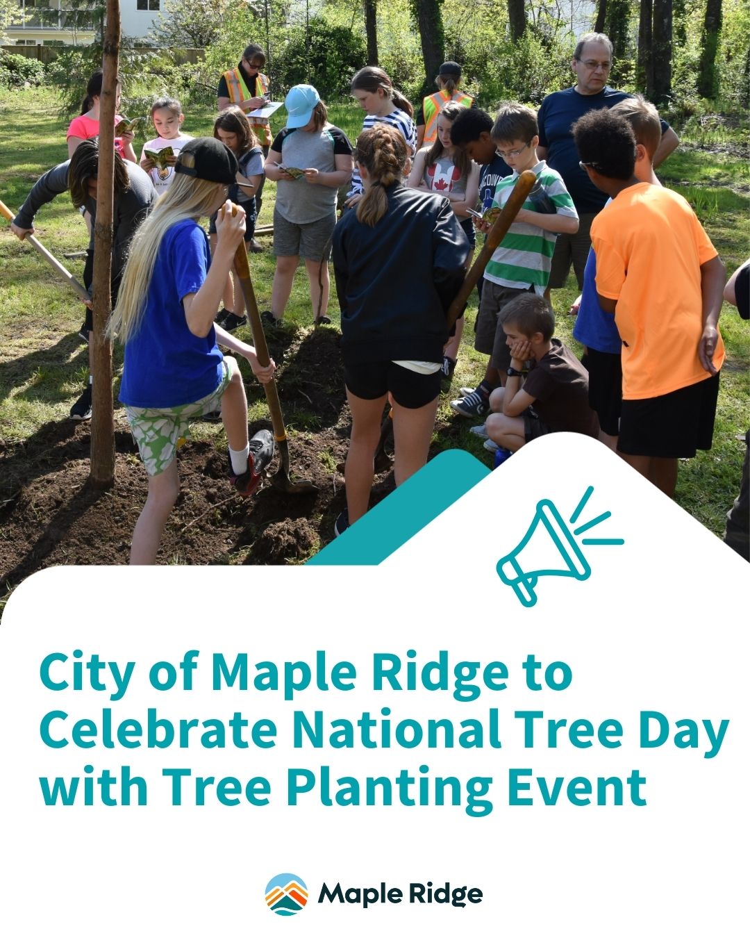 🌳 Celebrate National Tree Day with... - City of Maple Ridge | Facebook