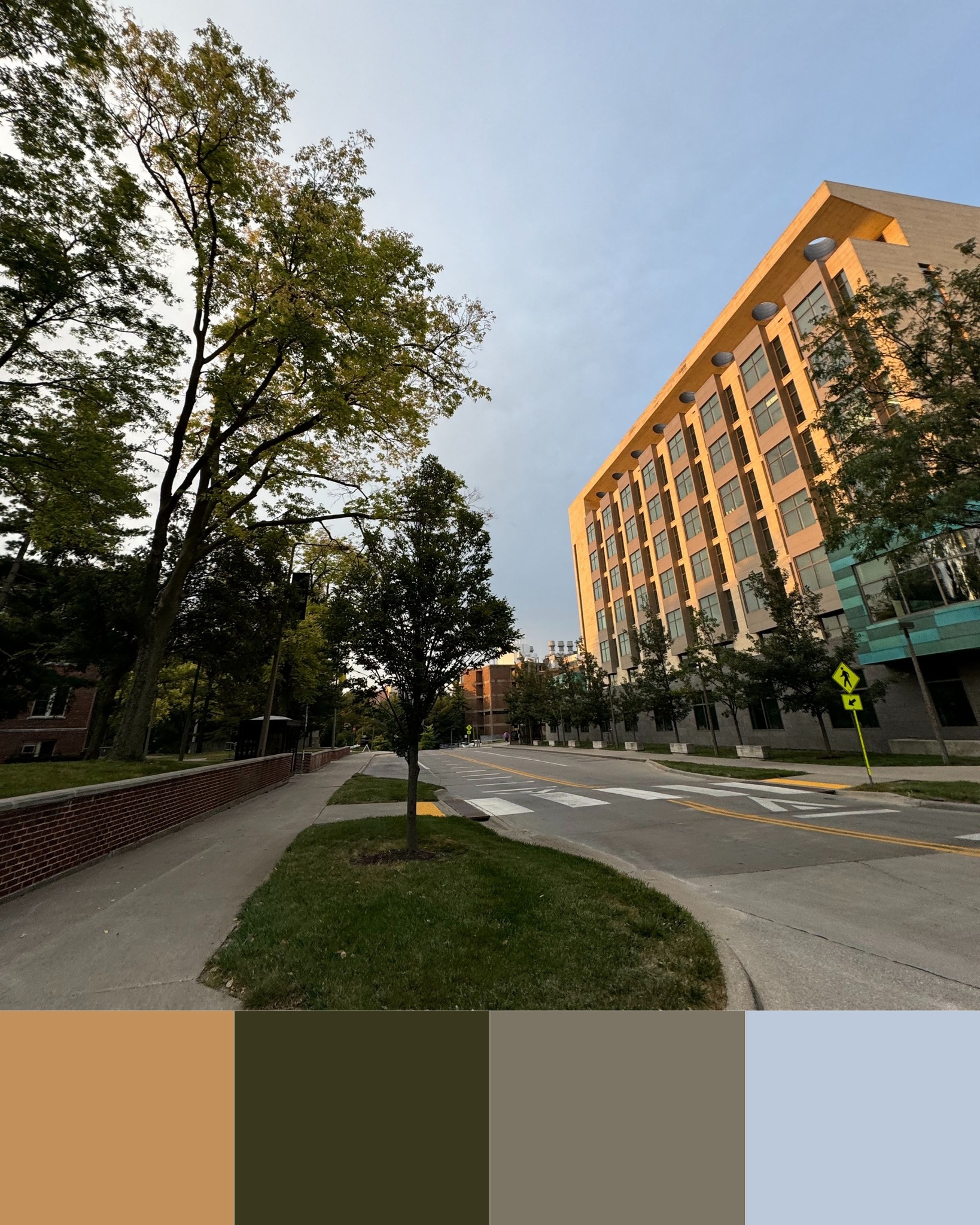 A closer look at campus colors 🎨📷 - Carver College of Medicine | Facebook