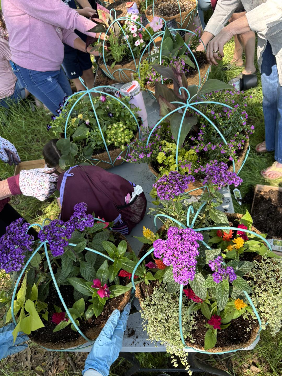 Parks Brothers Garden... - Parks Brothers Garden Center