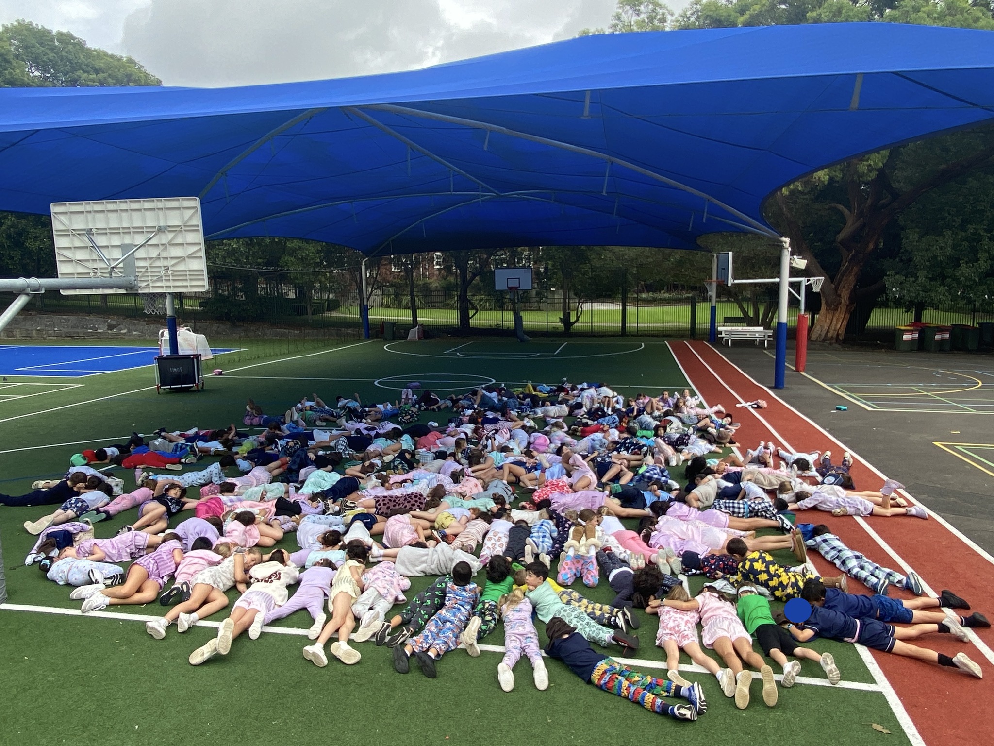 Holy Cross Catholic Primary School Woollahra | Sydney NSW