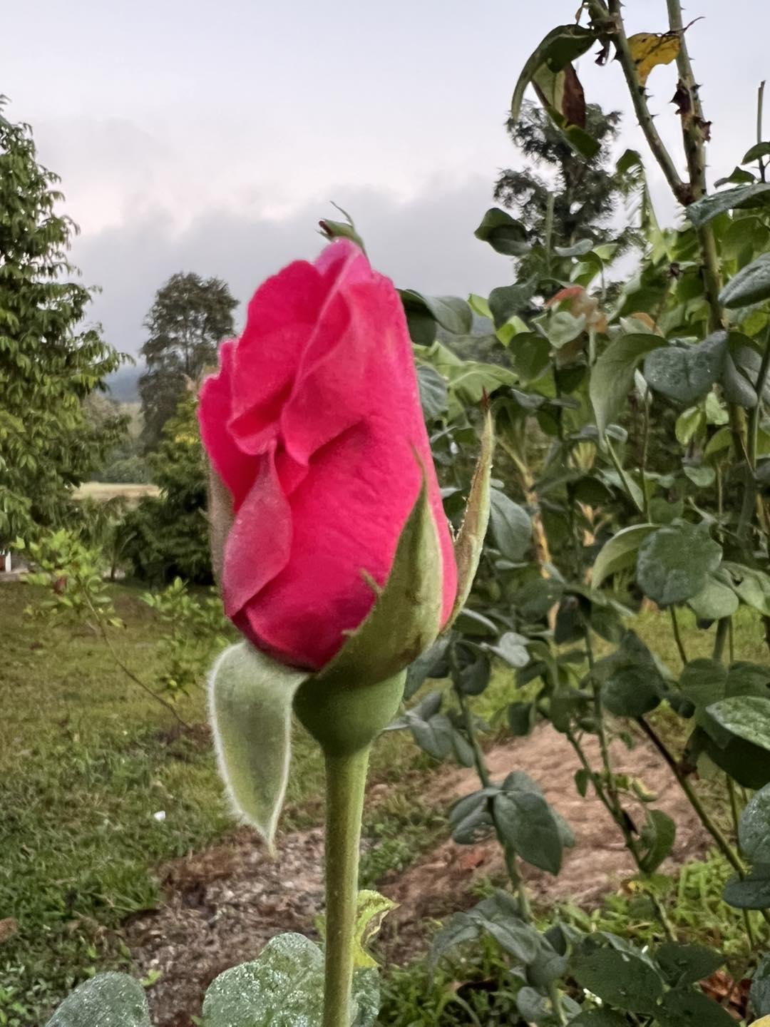 บ้านสวนฮักนา HugNa HomeStay | Chiang Mai