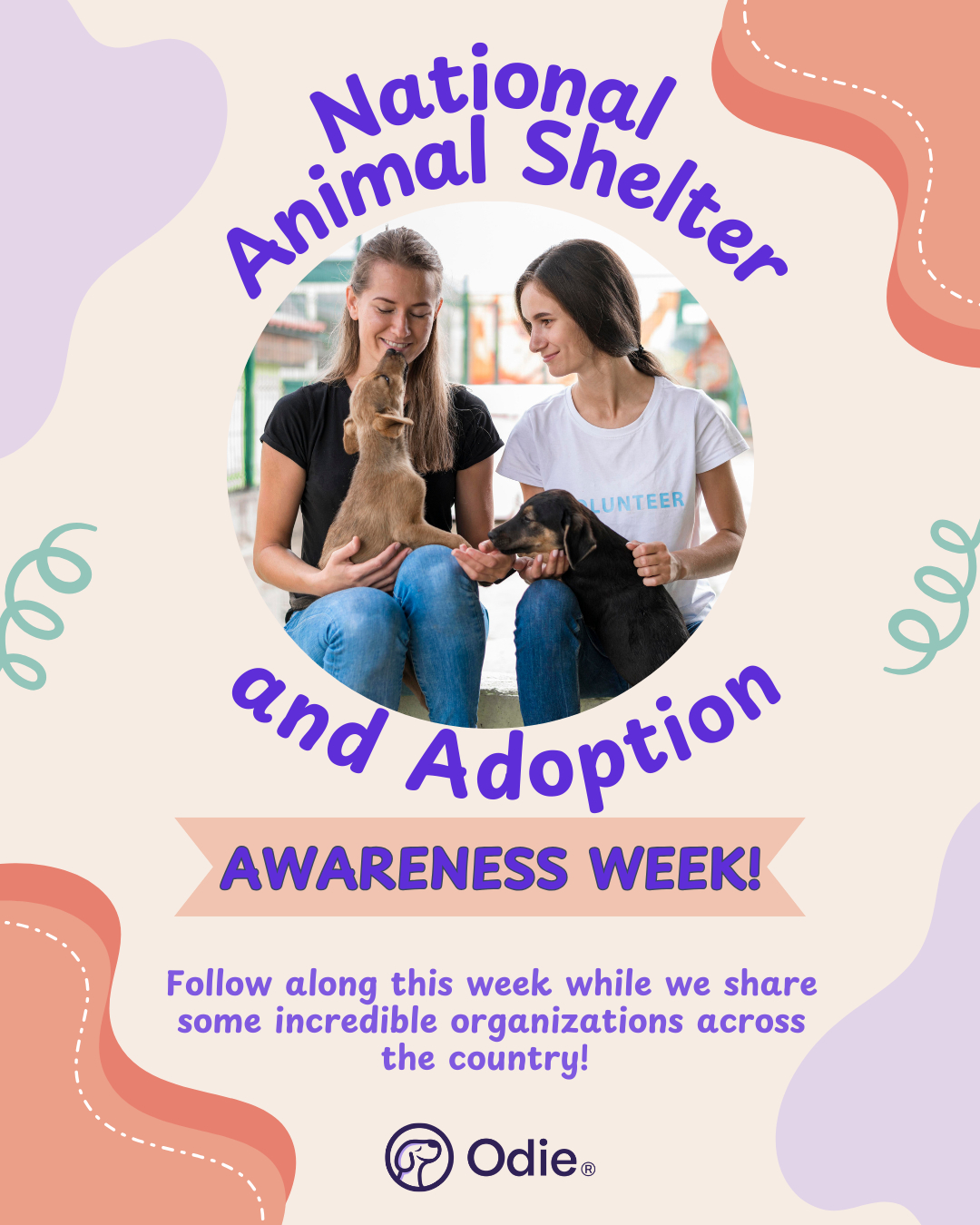 Odie - 🐾 It’s National Animal Shelter & Adoption Awareness Week! 🐾 At ...