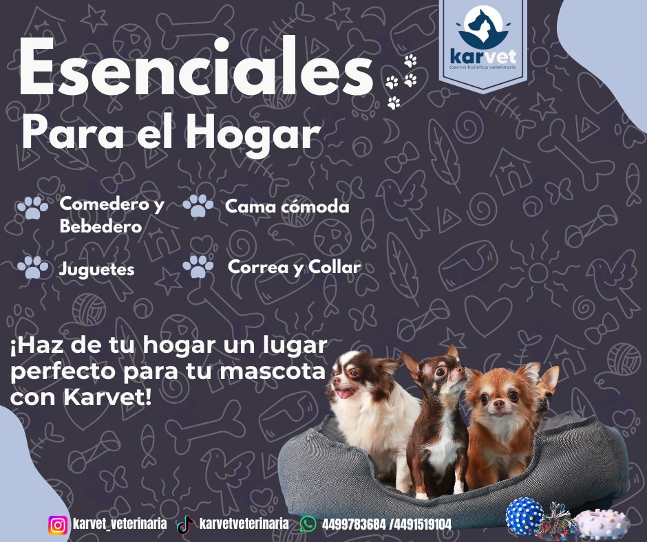 Karvet Centro Holistico Veterinario | Aguascalientes