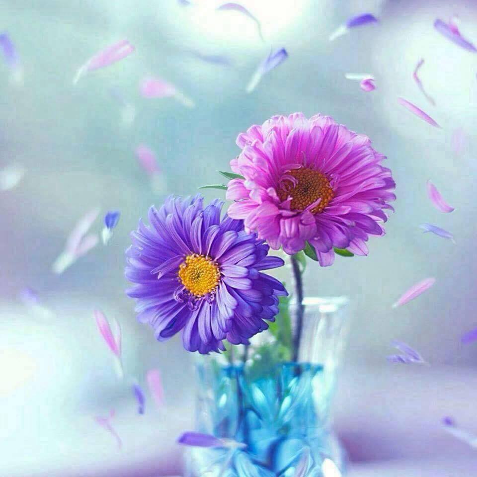 Parimol Saha