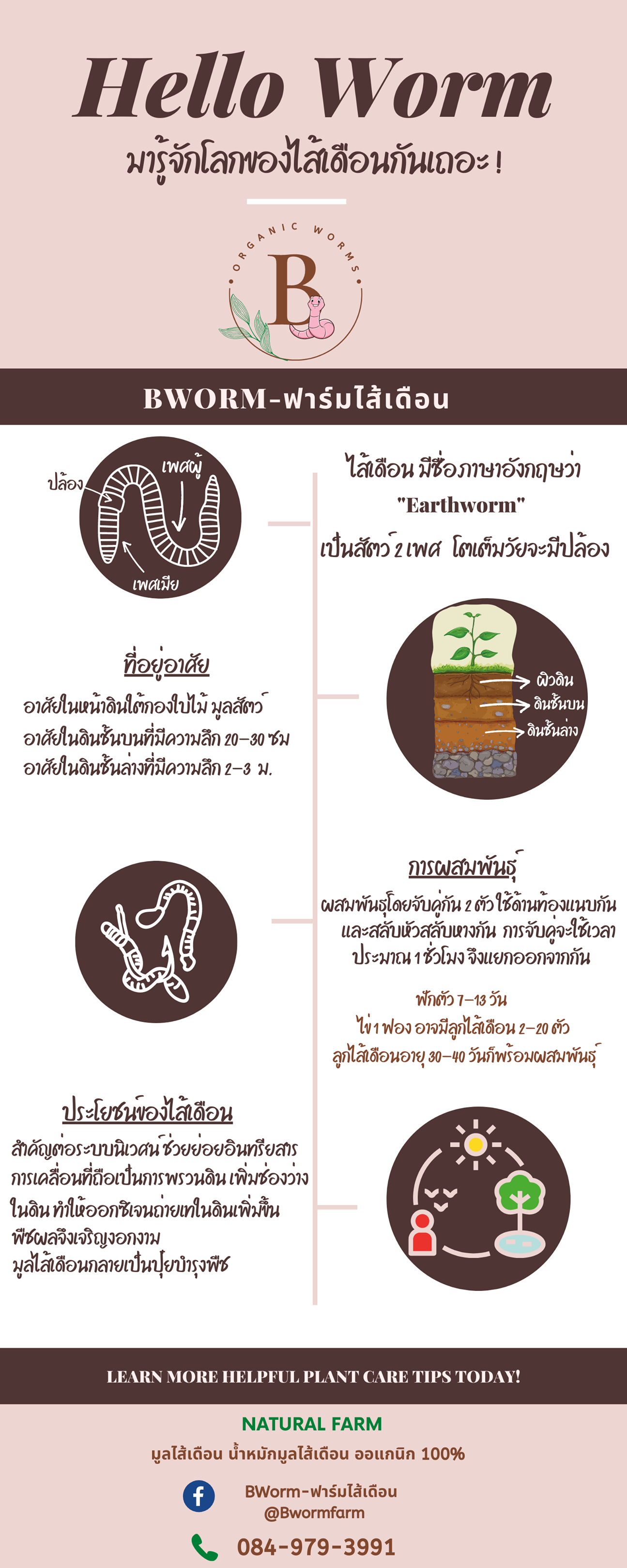 BWorm-ฟาร์มไส้เดือน