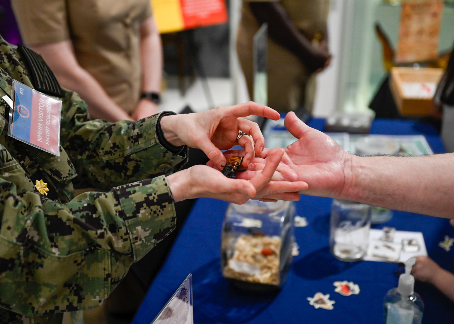 Navy - 🐝 U.S. Navy entomologists assigned to the Navy Bureau of ...