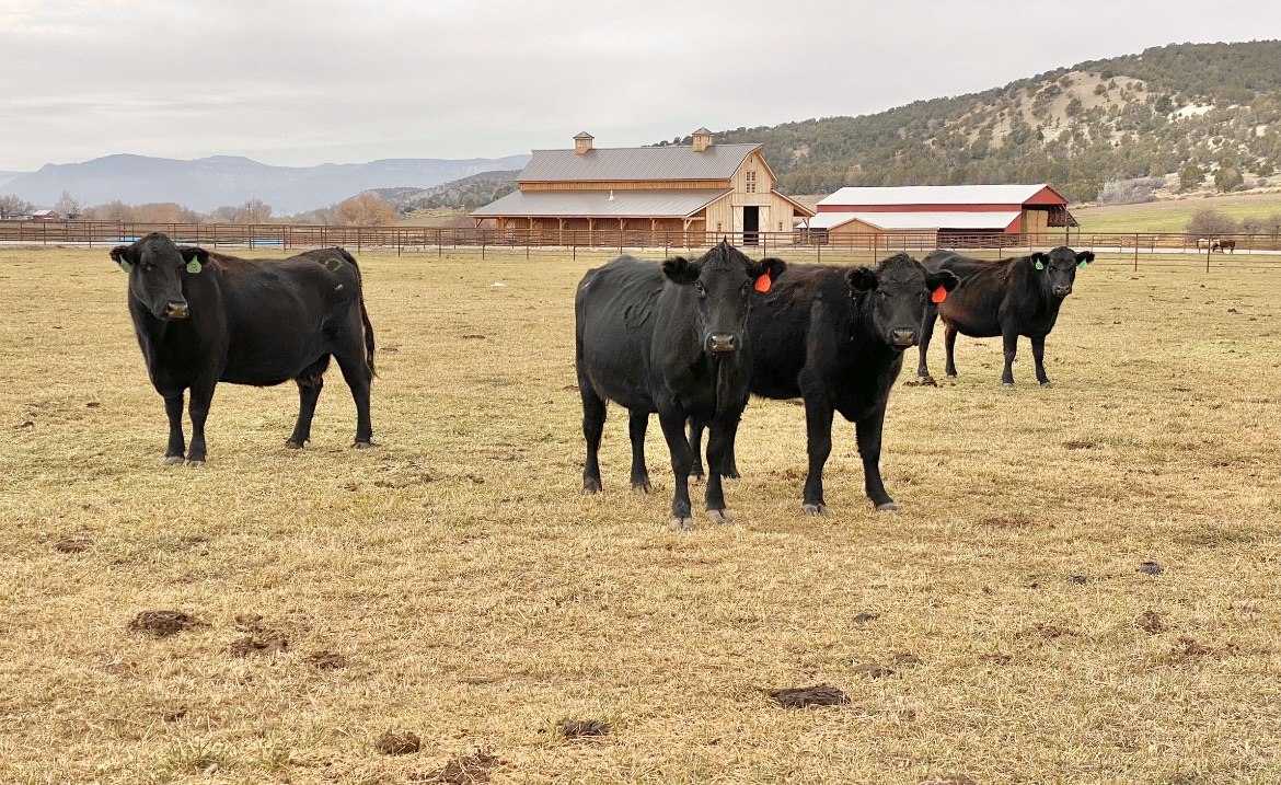 Miller Time Ranch | Mount Pleasant UT